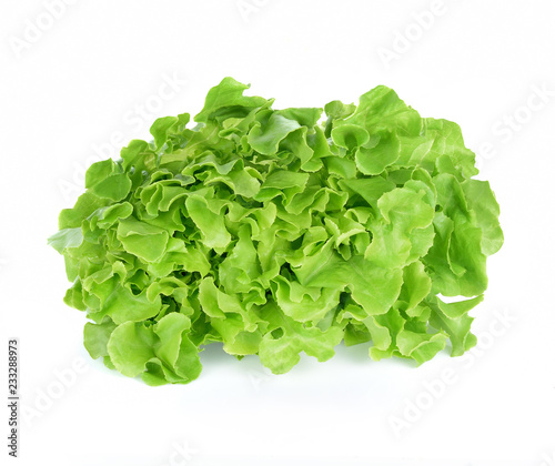 Salad leaf Lettuce isolated on white background