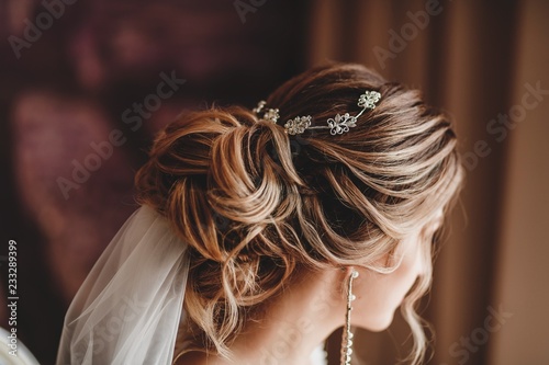 Luxury jewelry for the bride's hair.