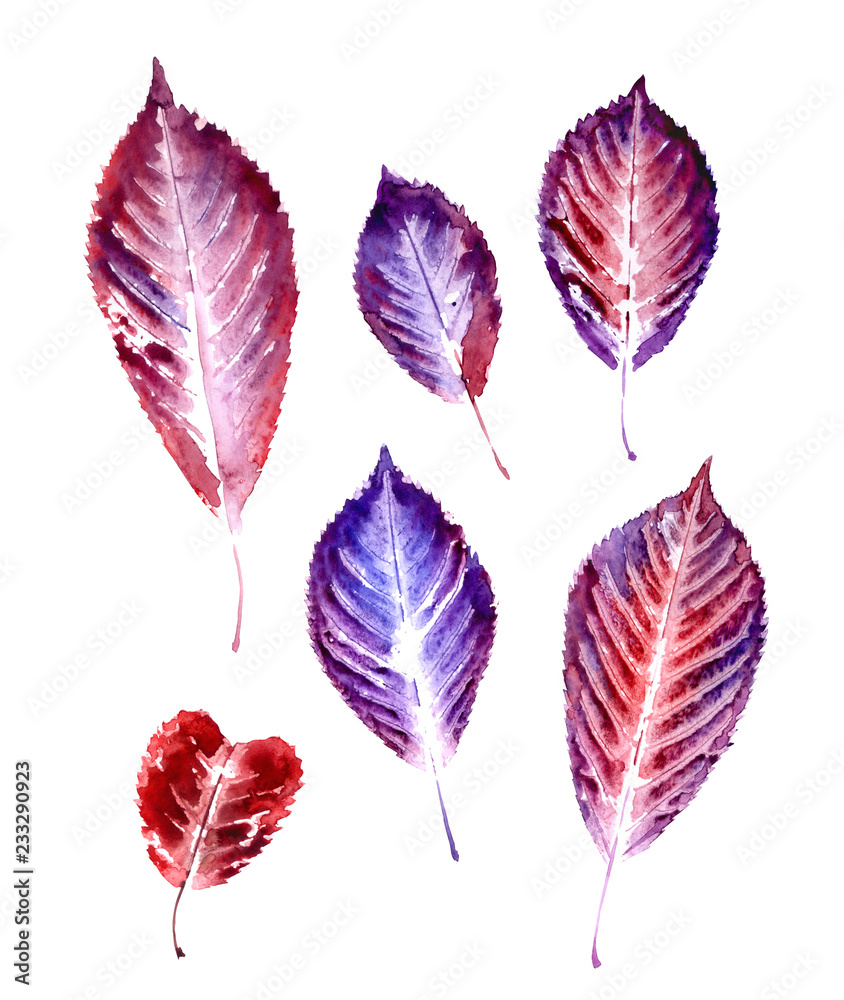Obraz premium Prints of autumn leaves, watercolor set on a white background, isolated.