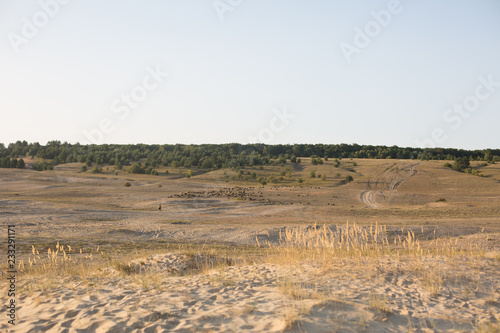 nature. steppe. sand. conservation area. landscape