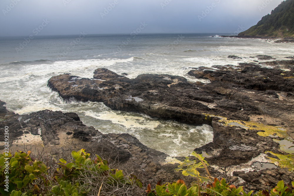 Obraz premium Seashore