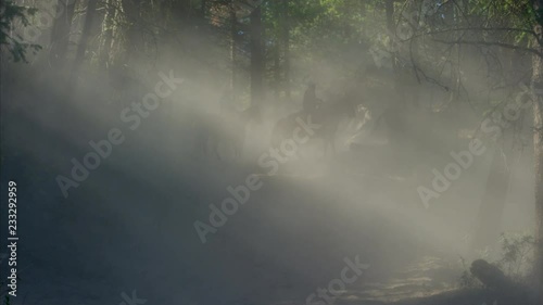 Horses galloping in Roundup on Dude Ranch with Cowboy Riders  photo