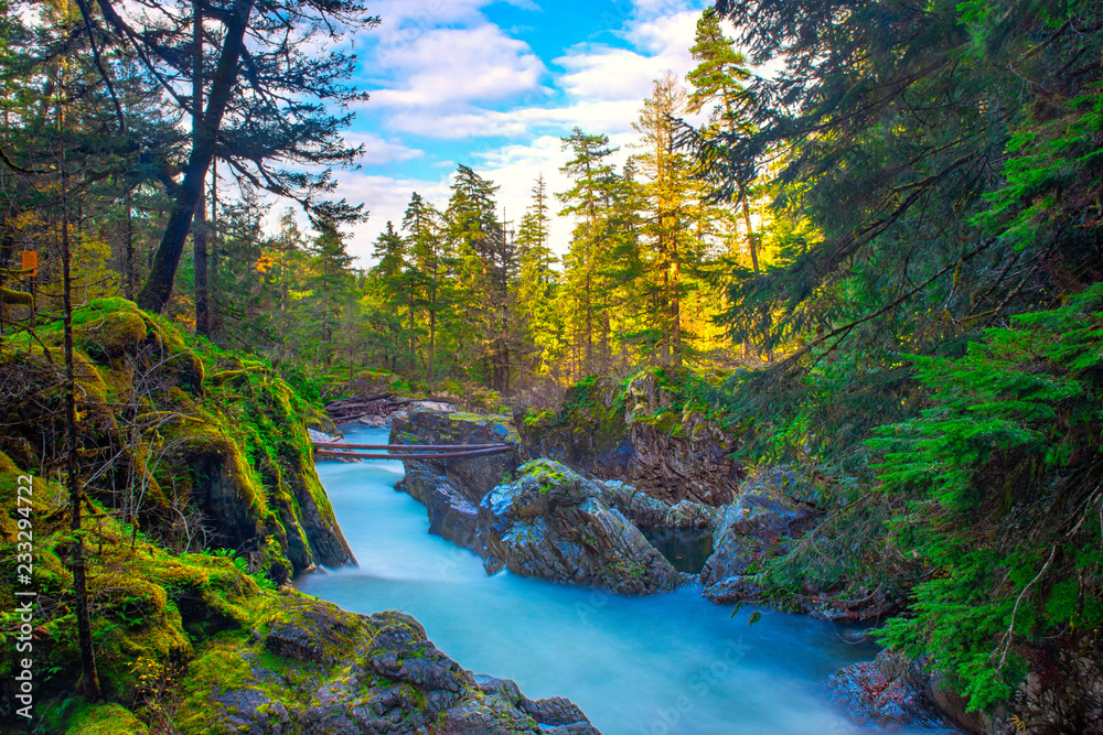 Obraz premium Little Qualicum Falls, a popular destination in Vancouver Island