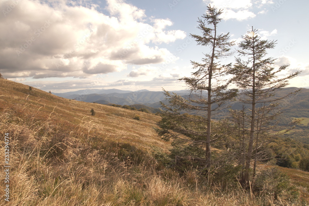 Fototapeta premium Jeseiń w Bieszczadach - widok ze szlaku na Tarnicę