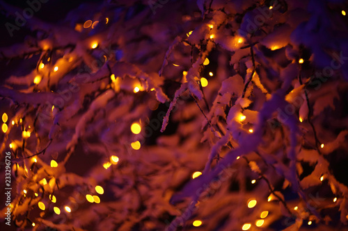 Glowing lights in winter forest