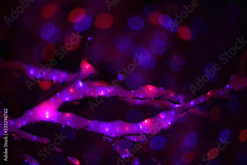 Glowing lights in winter forest