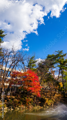 Autumnal RGB