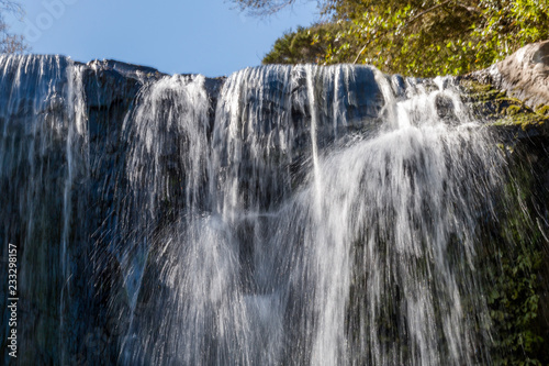 Mokoroa Falls  Waitakere  New Zealand