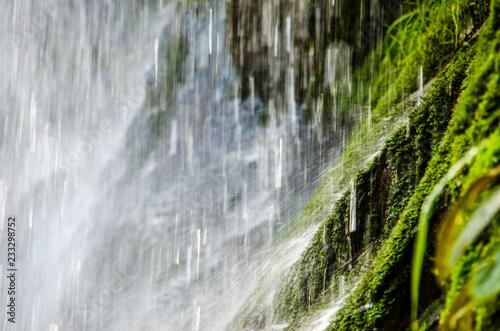 Mokoroa Falls, Waitakere, New Zealand