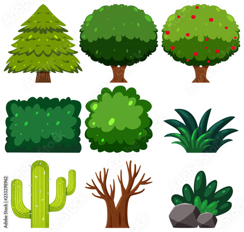 Set of green plant