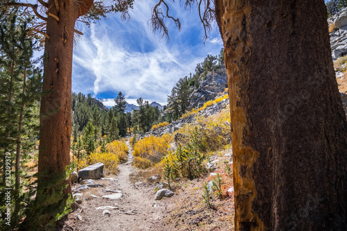 Hiking trail in the John Muir Wilderness, Eastern Sierra mountains, California photo
