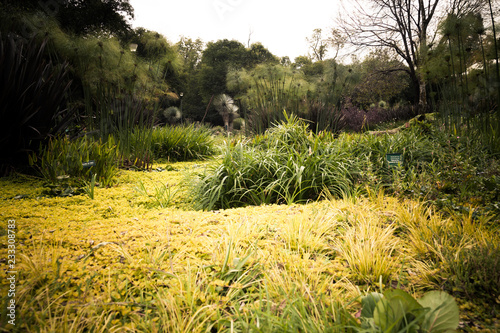 jardin botanico chapultepec