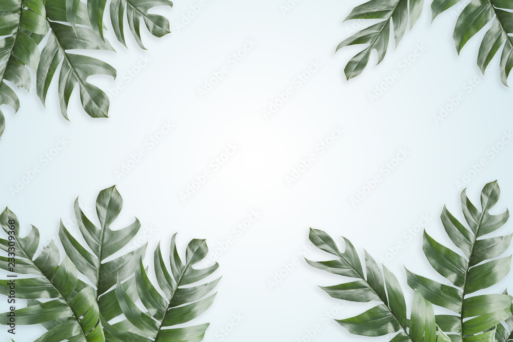 Leaves set in the frame around blank space