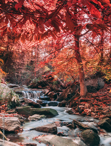 Autumn mountain landscape beside a swift flowing stream with small waterfalls. Outdoor recreation. Hiking the Appalachian Trail and Blue Ridge Mountains.