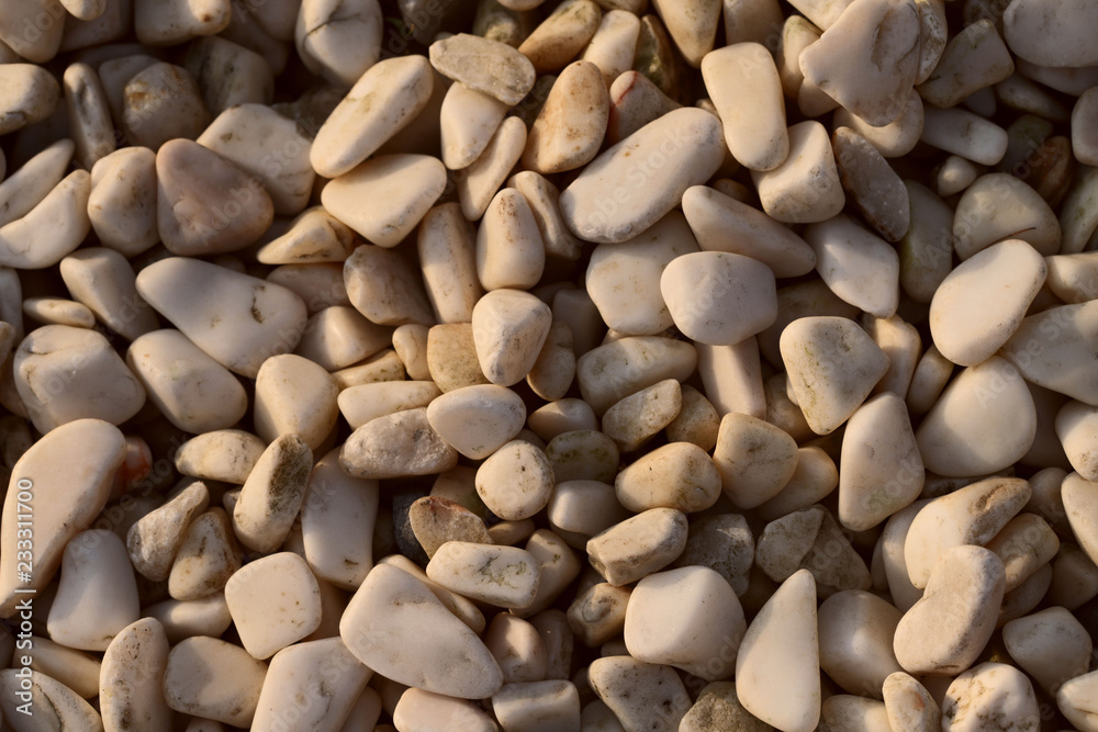 Background of smooth white pebbles. The concept of nature. Cropped shot, close-up, horizontal, top view Background of smooth white pebbles. The concept of nature. Cropped shot, close-up, horizontal, top view