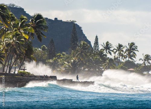 Oahu Life photo