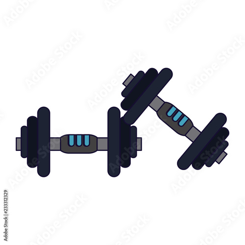 Fitness and gym equipment