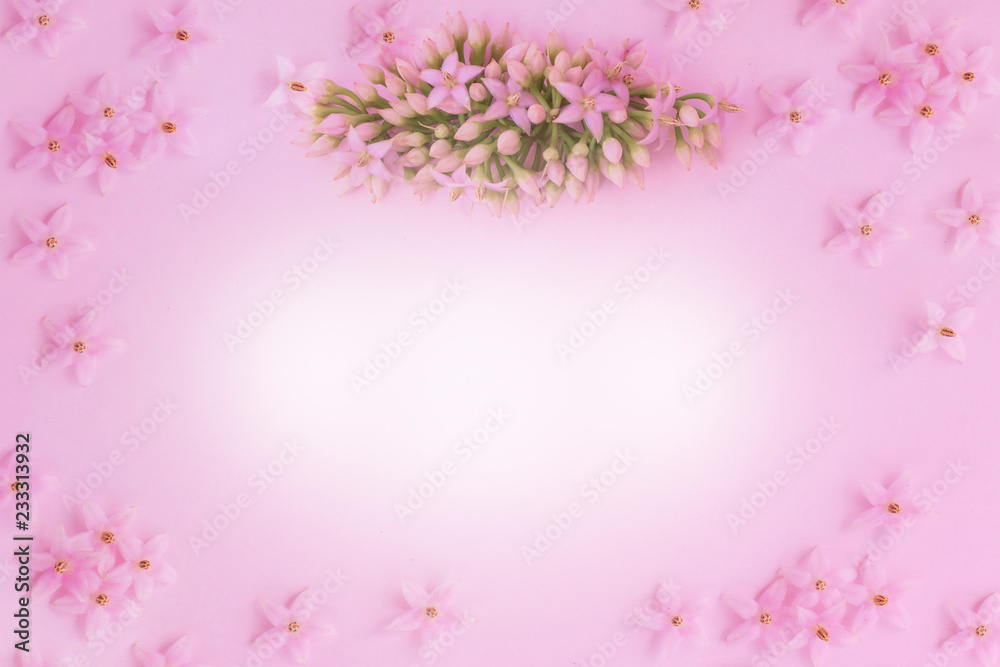 Bouquet of little pink flowers on pink background