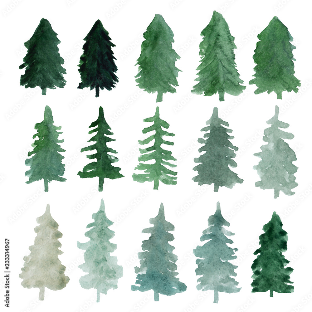 Fir-trees silhouettes isolated