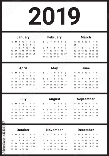 Year 2019 calendar vector design template