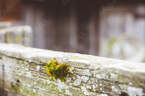 Old wooden fence. Selective focus. Shallow depth of field.