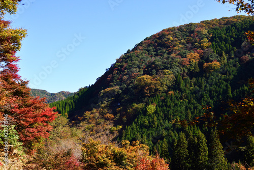 一目八景