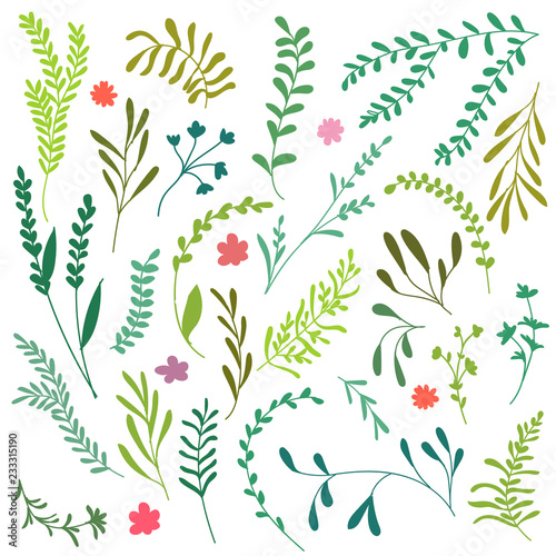Set Plants Color vector 