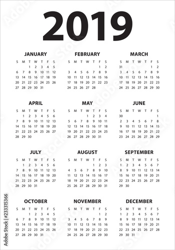 Year 2019 calendar vector design template