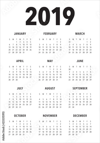 Year 2019 calendar vector design template