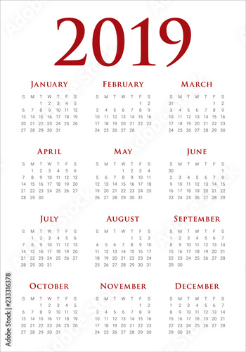 Year 2019 calendar vector design template