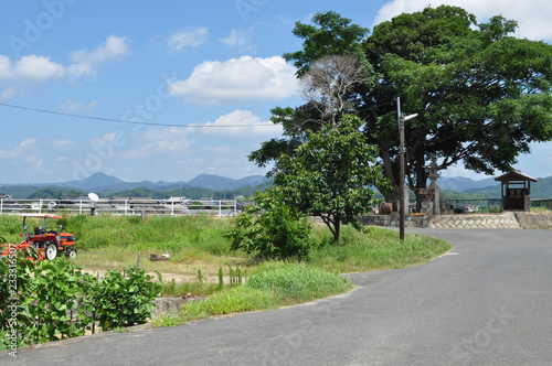 農村風景