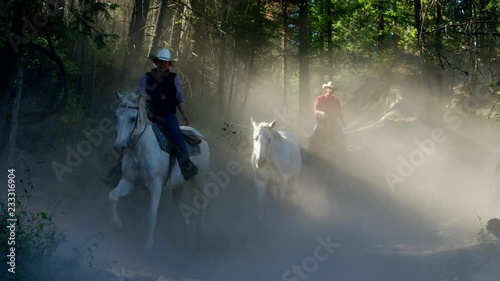 Horses galloping in Roundup on Dude Ranch with Cowboy Riders  photo