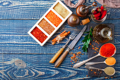 Spices and condiments for food