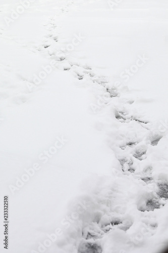 footprint on the snow field © nitimongkolchai
