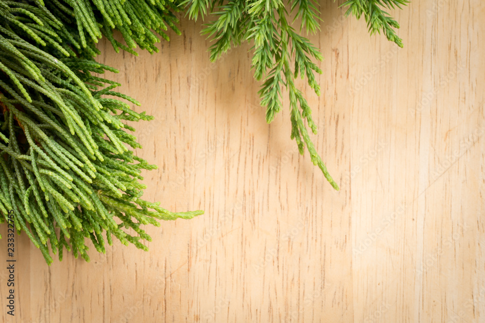 Branches arborvitae, Juniper branches on wood Christmas background Branches arborvitae, Juniper branches on wood Christmas background