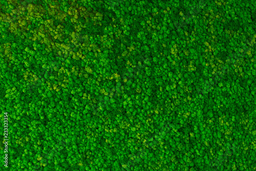 Artificial green moss wall for garden decor. Moss Background Texture