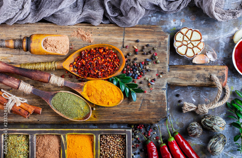 Spices and condiments for food