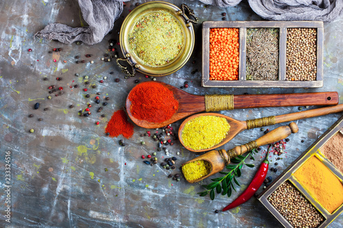 Spices and condiments for food