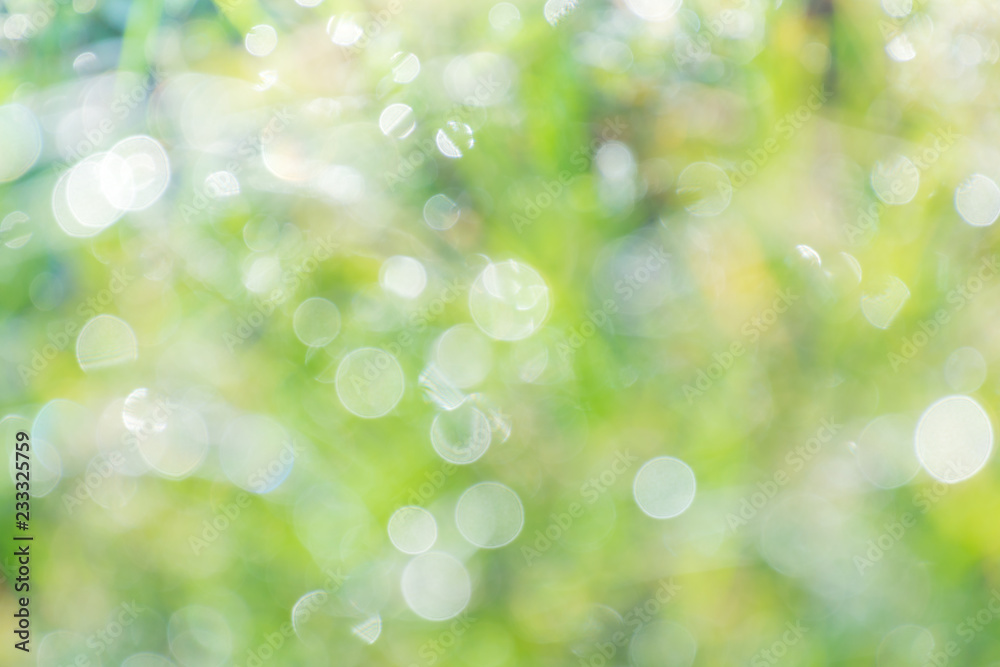 Obraz premium Abstract background blur focus as bokeh baclground.