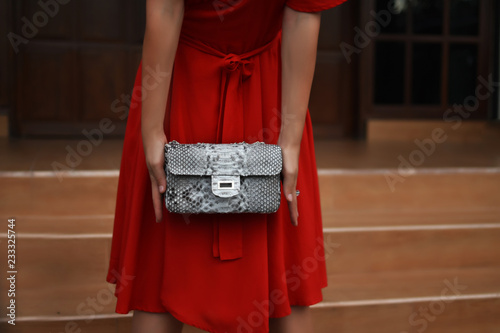 Woman hands with luxury handmade snakeskin leather handbag. Python snake fashionable handbag, wallet, purse, clutch. Close up of the purse in hands of a stylish lady. Natural skin python