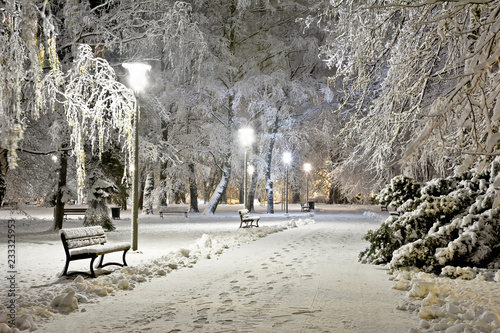 Park at night covered with fresh snow. City at night.