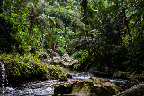 River in stones of tropical jungle nature at the Banner image. Jungle nature of Bali island. Nature beauty of tropical forest. Natural rainforest landscape of Indonesia