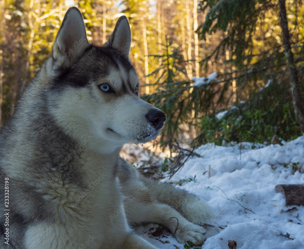 Fototapeta premium OLYMPUS DIGITAL CAMERA