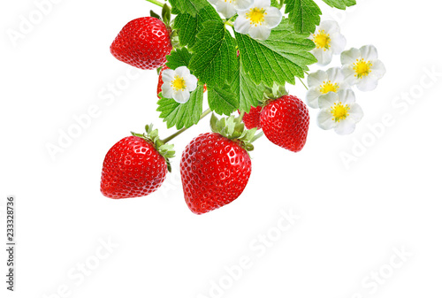 red tasty strawberries on white background