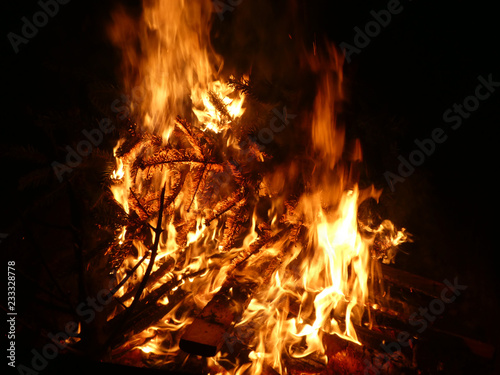 Offenes Feuer mit brennendem Tannenbaum