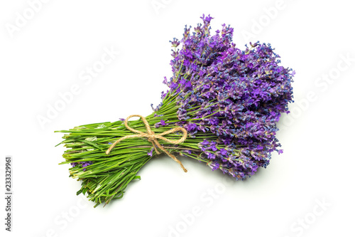 Lavender flowers on white background