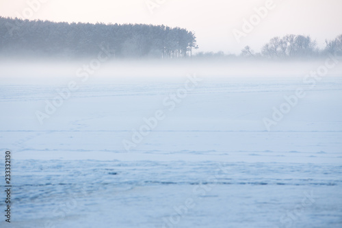 Wallpaper Mural Christmas winter landscape of the frozen lake covered with snow on a cold winter day and the forest in thr mist  Torontodigital.ca