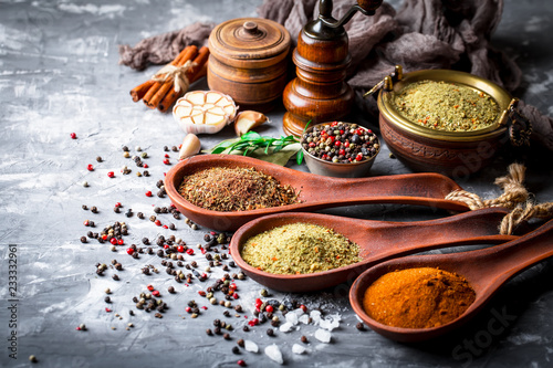 Spices and condiments for food