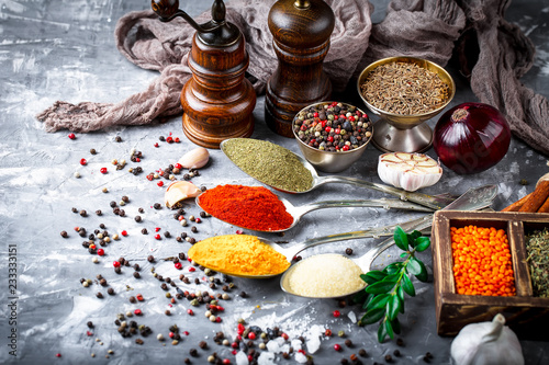 Spices and condiments for food