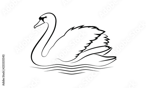 Fototapeta Naklejka Na Ścianę i Meble -  Swan graphic icon. Swan on the water sign isolated on white background. Vector illustration